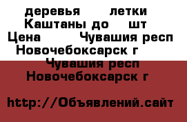 деревья  2-3 летки --Каштаны до 40 шт › Цена ­ 99 - Чувашия респ., Новочебоксарск г.  »    . Чувашия респ.,Новочебоксарск г.